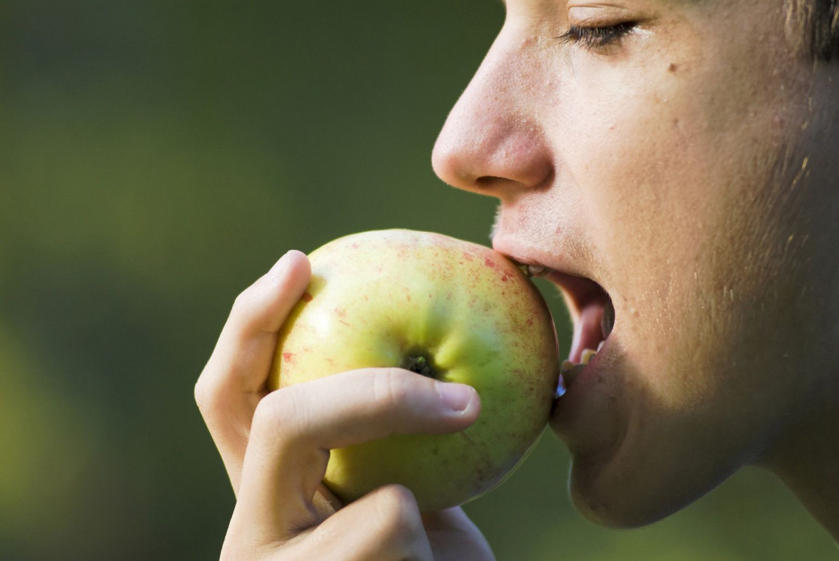 Makan Buah